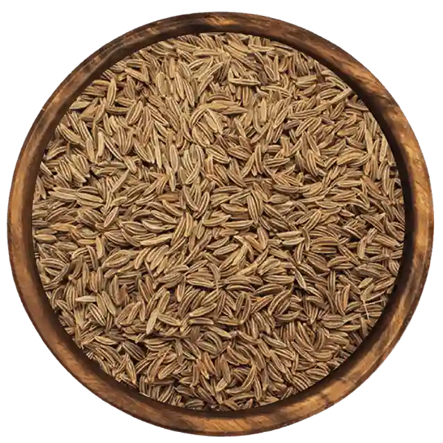 Caraway