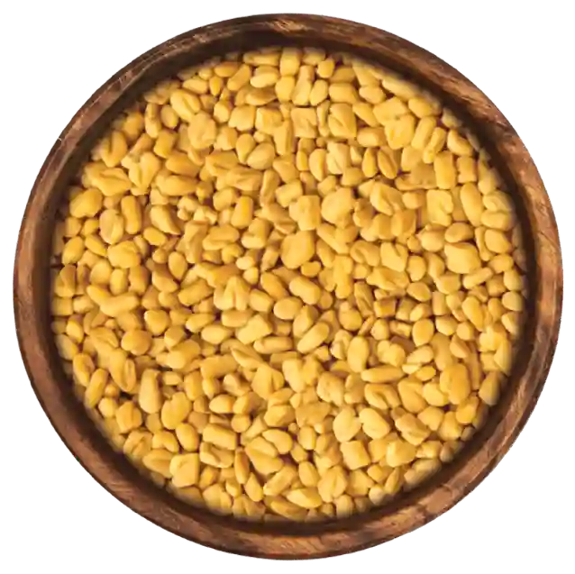 Fenugreek