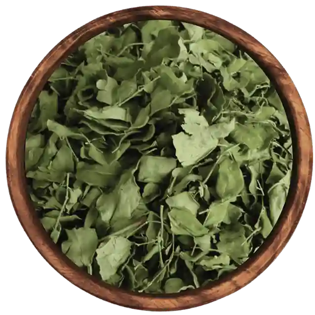 Moringa